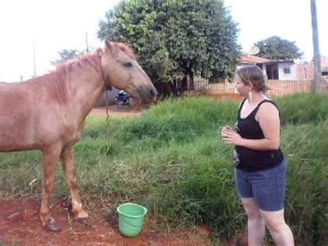 sexo com animal x videos|Xvideos Zoofilia .